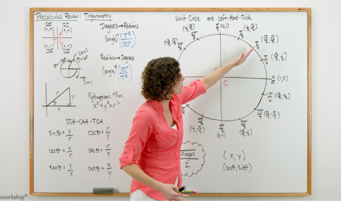 Online trigonometry tutor